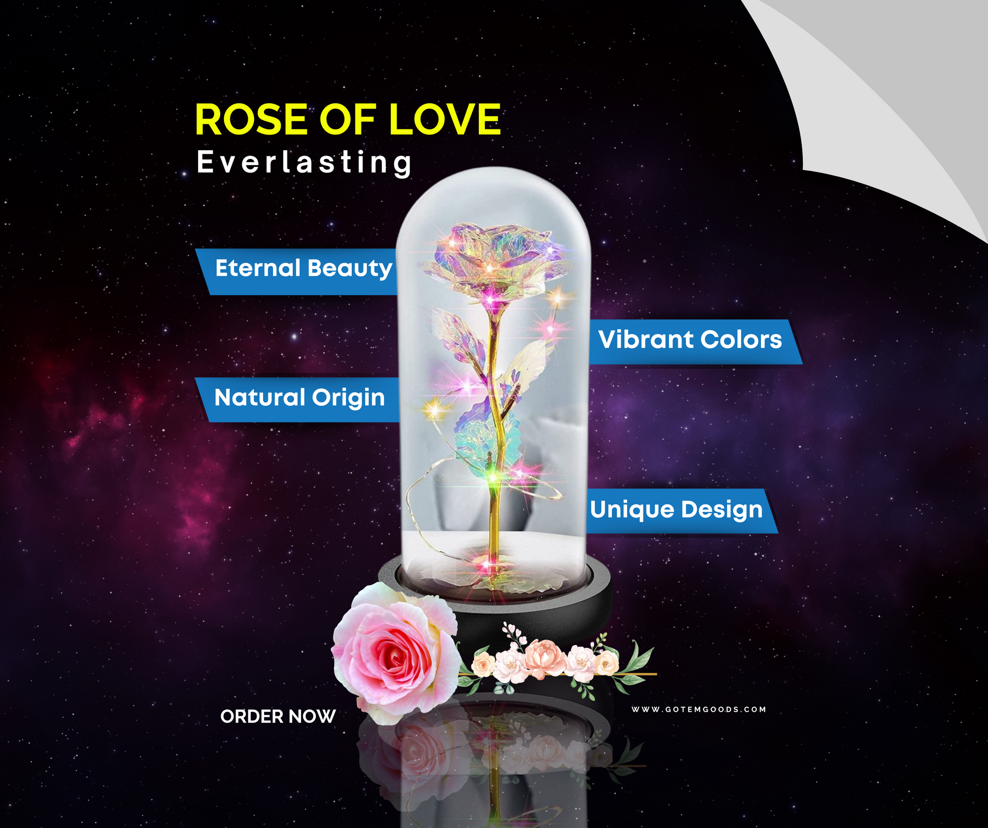 Everlasting Galaxy Rose